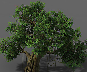 Plant - banyan tree 01