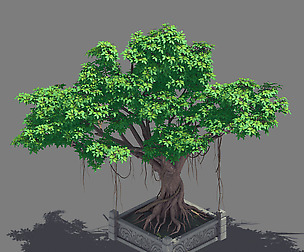 Plant - banyan tree 15