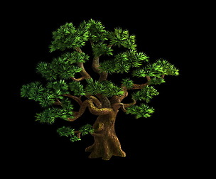 Plant - Pine 05