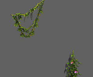 Plant - Vines 16