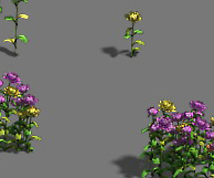 Plant - flowers