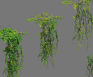 Decoration - vines