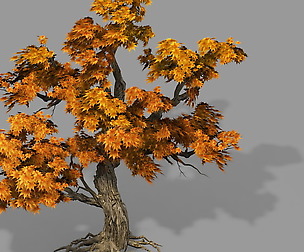 Game Model - Forest - Maple Tree 8