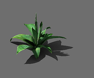Game Models - Forest - Shrubs 02