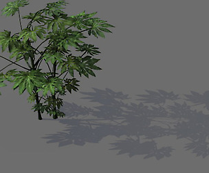 Game Models - Forest - Shrubs 03