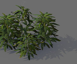 Game Model - Forest - Shrubs 04