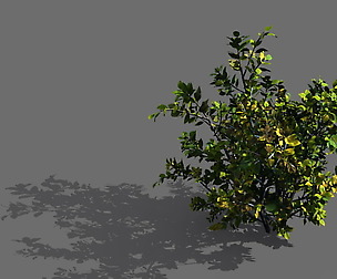 Game Models - Forest - Shrubs 05