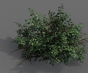 Game Models - Forest - Shrubs 07