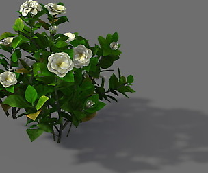 Game Model - Forest - Shrub 09
