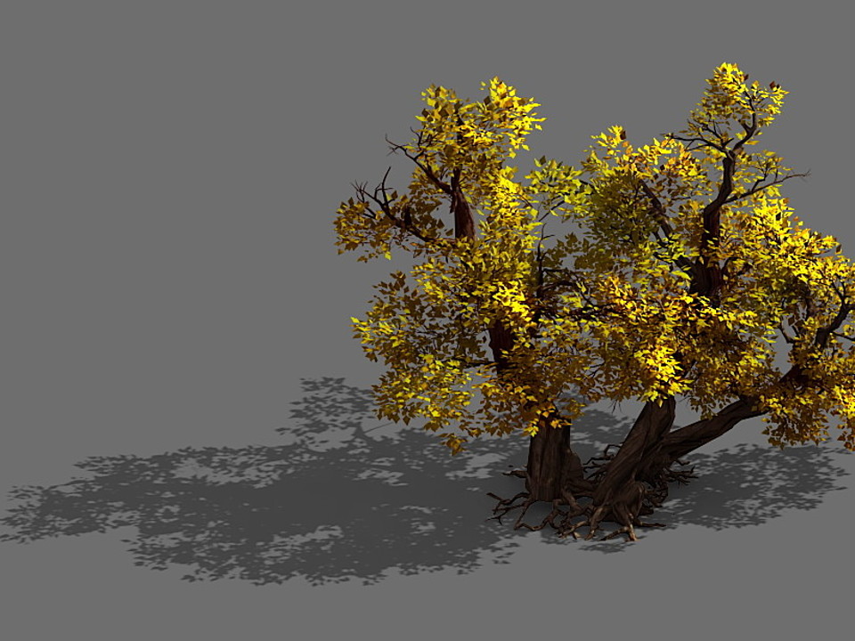 Game Models - Forest - Shrubs 11