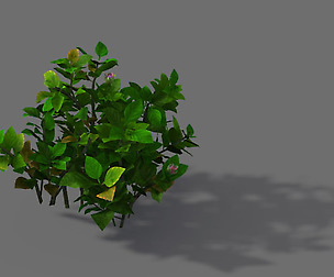 Game Models - Forest - Shrubs 12