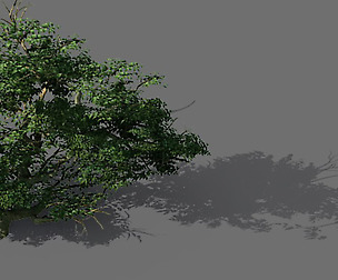 Game Model - Forest - Shrub 14