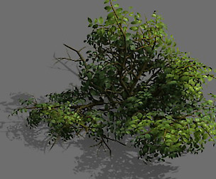 Game Model - Forest - Shrub 15