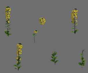 Game Model - Forest - Flowers 02