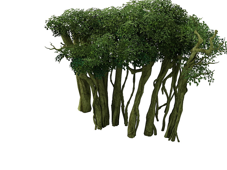 Game Model - Forest - Tree 14