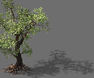 Game Models - Forest - Trees 02