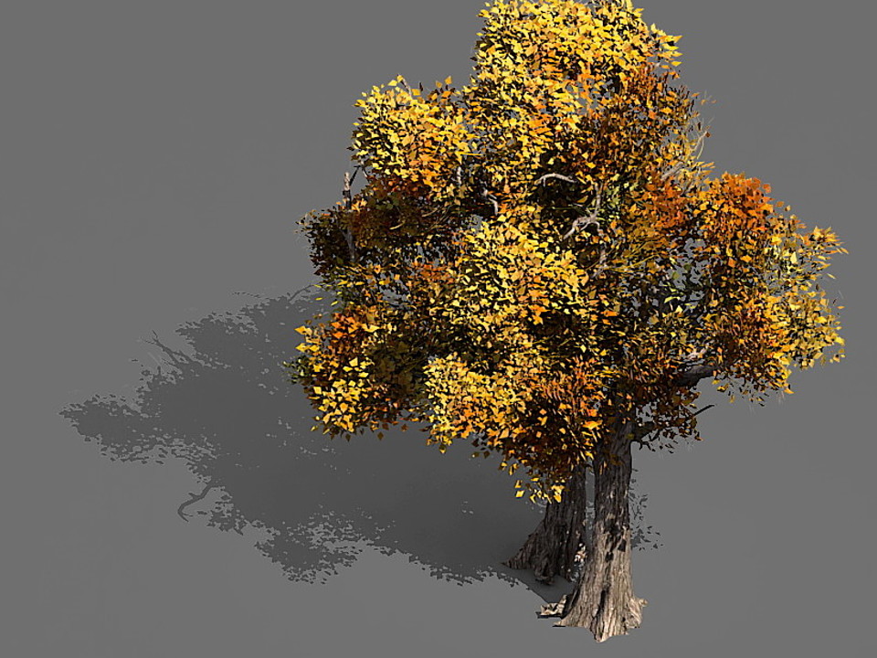 Game Models - Forest - Trees 08