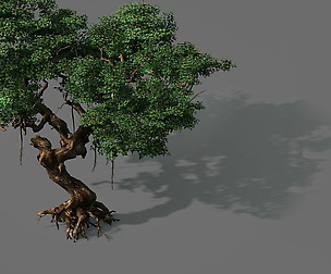Game Models - Forest - Trees 09
