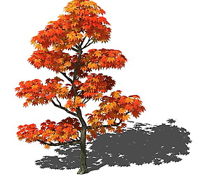 Game Models - Forest Trees - Maple Leaf