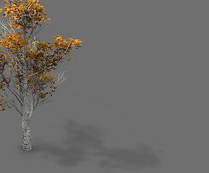 Game Model - Desert - Trees 03