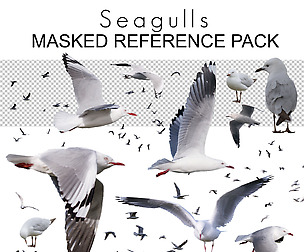 Masked Ref Pack - Seagulls