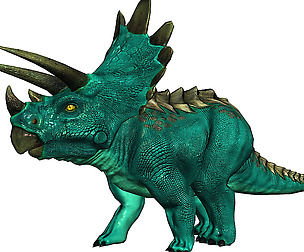 3DFoin - Triceratops