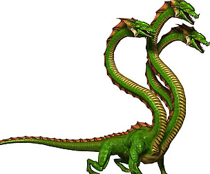 3DFoin - Hydra