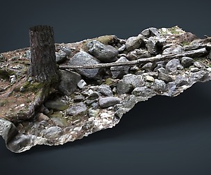Tree River 2
