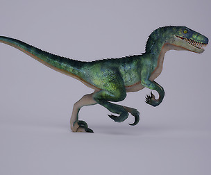 3DFoin - Raptor