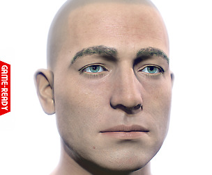 Average Caucasian Male Head