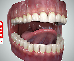 Teeth & Tongue