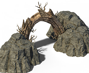 Architecture - grassland mountain dead tree