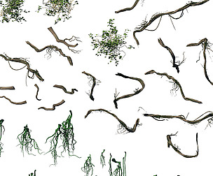 Suburb - Huanglongshan broken bridge vines