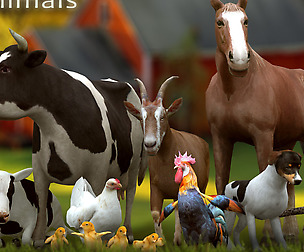 3DRT - Domestic animals