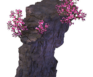Peach Blossom Island - Surface 03