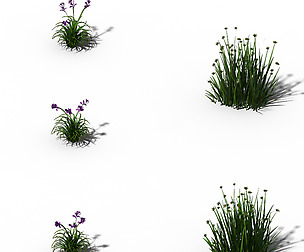 Flowers - General Weeds 01