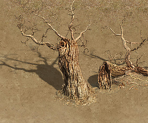 Barracks - desert Dead tree 01