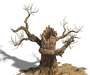 Barracks - desert Dead tree 06