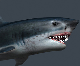 3DRT - Shark Jaws pack