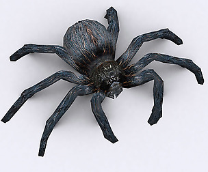 3DRT - Spider