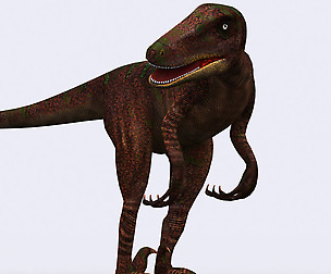 3DRT - Dinosaurs - Velociraptor