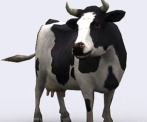 3DRT - Domestic animals - Cow