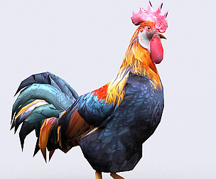 3DRT - Domestic animals - Rooster