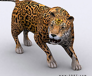 3DRT - Safari animals - Jaguar
