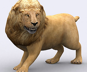 3DRT - Safari animals -  Lion