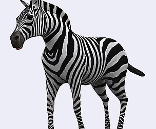 3DRT - Safari animals -  Zebra