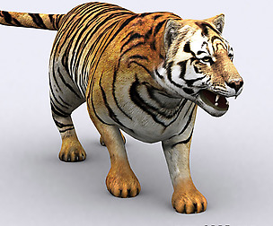3DRT - Safri animals - Tiger