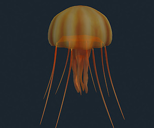3DRT - Sealife - Jelly FIsh