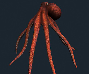 3DRT - Sealife - Octopus
