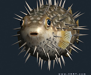 3DRT - Sealife - Puffer fish